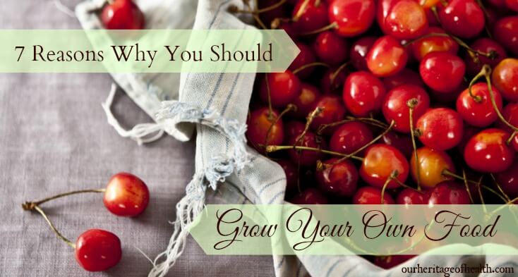 7 reasons why you should grow your own food | ourheritageofhealth.com