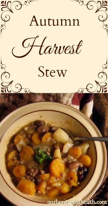 Bowl of autumn harvest stew with carrots, potatoes, onion, beef, beans, etc.