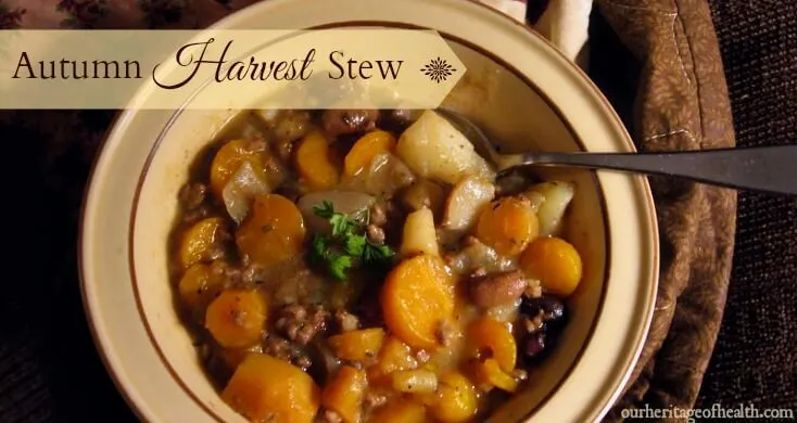 Bowl of autumn harvest stew with carrots, potatoes, onion, beef, beans, etc.