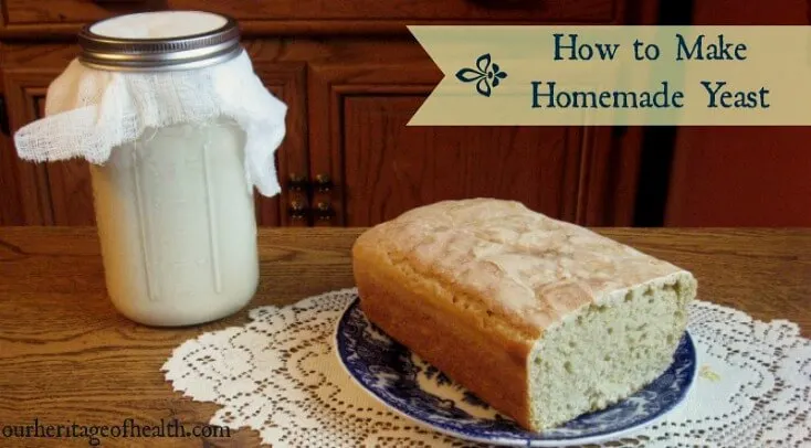 Make your cheap own yeast