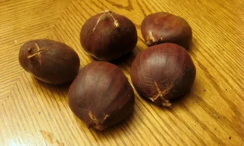 X-shaped slits cut into chestnuts to prepare them for going into the oven.