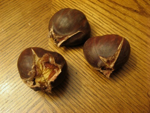 Oven roasted chestnuts that have split open at the slits cut into the top while they were in the oven.