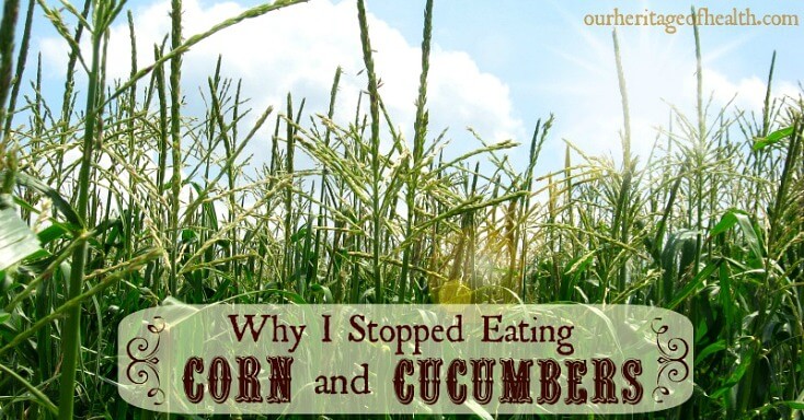 Why I stopped eating corn and cucumbers | ourheritageofhealth.com