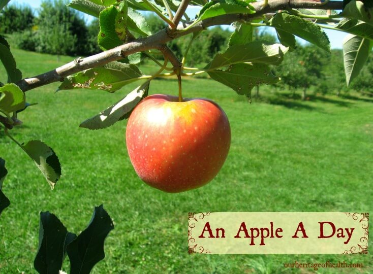 An apple a day 