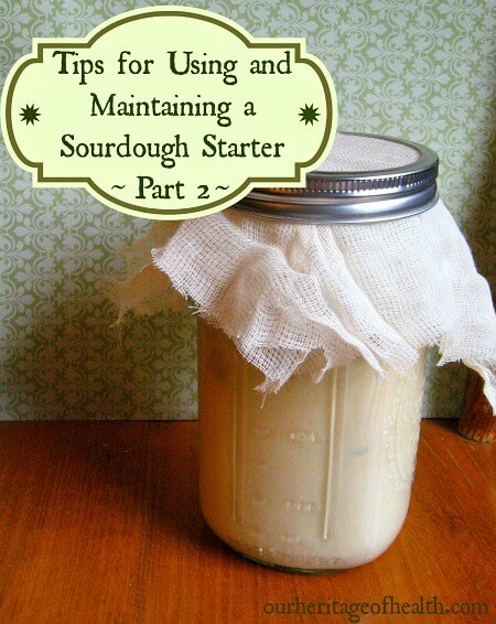 Tips for using and maintaining a sourdough starter (part 2) | ourheritageofhealth.com
