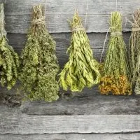 Bundles of herbs hanging to dry with a wooden background.