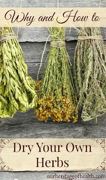 Bundles of herbs hanging to dry with a wooden background.
