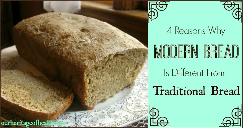 Loaf of bread with a slice cut off on a plate with a text overlay that says "4 Reasons Why Modern Bread Is Different From Traditional Bread."