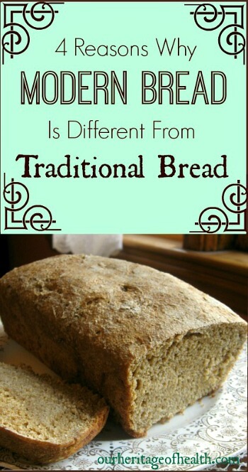 4 reasons why modern bread is different than traditional bread | ourheritageofhealth.com