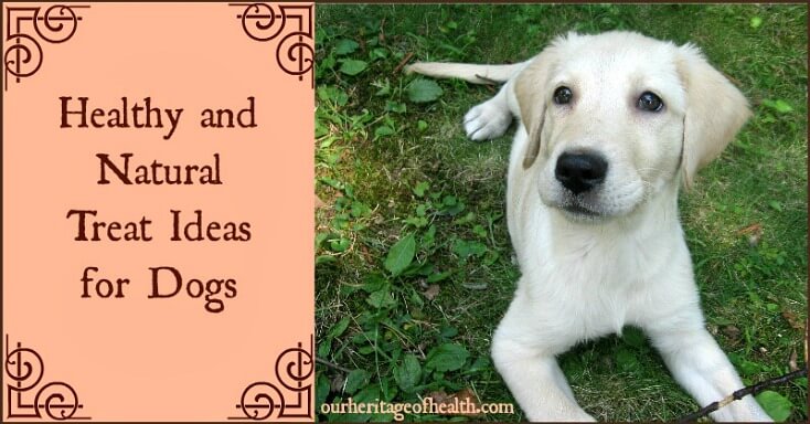 Healthy and natural treat ideas for dogs | ourheritageofhealth.com