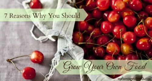 7 reasons why you should grow your own food