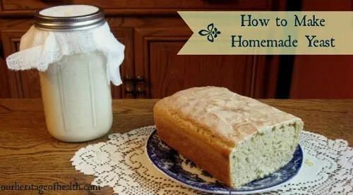 How to make homemade yeast