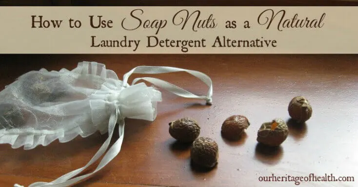 How to use soap nuts as a natural laundry detergent alternative | ourheritageofhealth.com