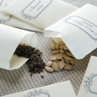 Seed packets with seeds spilling out onto a gingham cloth.