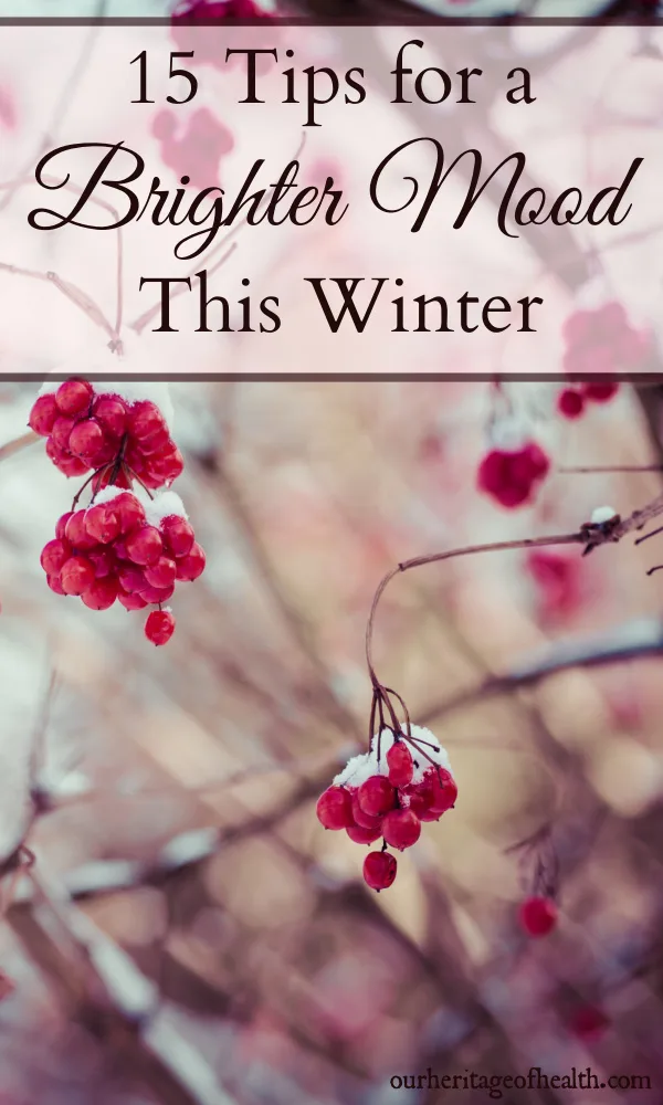 Bright pinkish-red winter berries dusted with snow on bare branches.