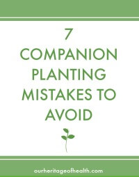 Cover of Companion Planting Mistakes guide.
