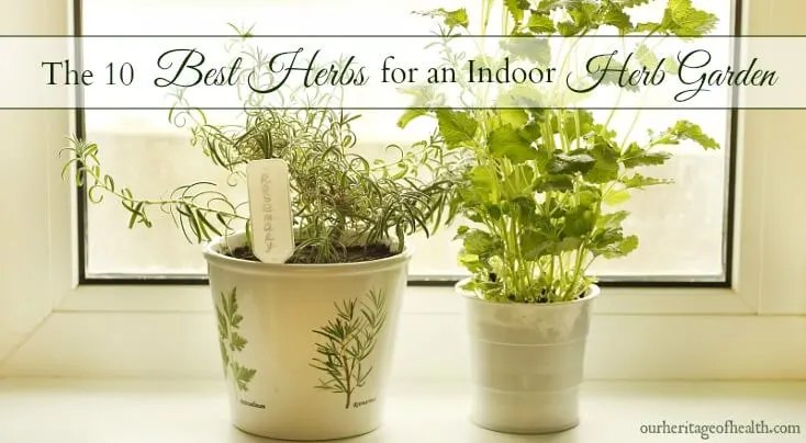 Herb pots in window sill.