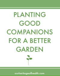 Cover for Good Companion Planting Guide.