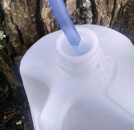 Plastic tubing running down into the hole cut into the cap of the empty water gallon container.