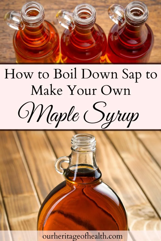 Small bottles filled with maple syrup at the top and a larger bottle of maple syrup at the bottom with a text overlay in the middle that says "How to Boil Down Sap to Make Your Own Maple Syrup."