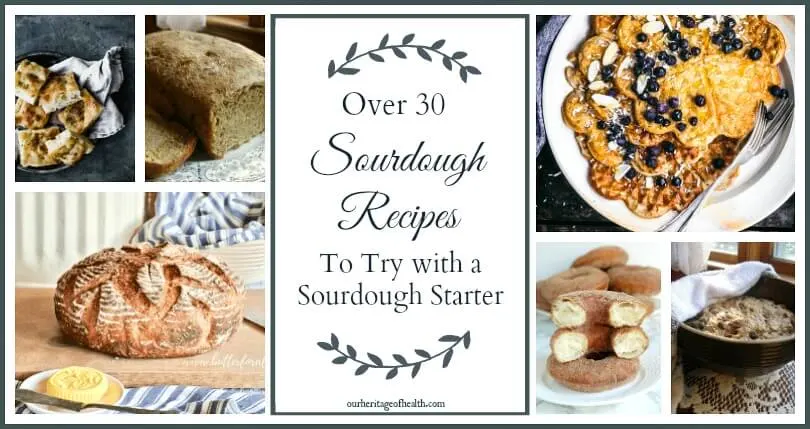 Collage of recipes made with a sourdough starter such as breads, donuts, and waffles.