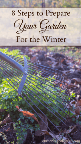 Steps to Prepare Your Garden for Winter - Our Heritage of Health