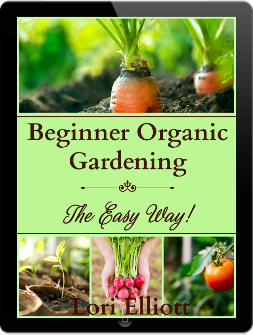 Cover of Beginner Organic Gardening - The Easy Way with images of carrots growing, seedlings, radishes, and a tomato.