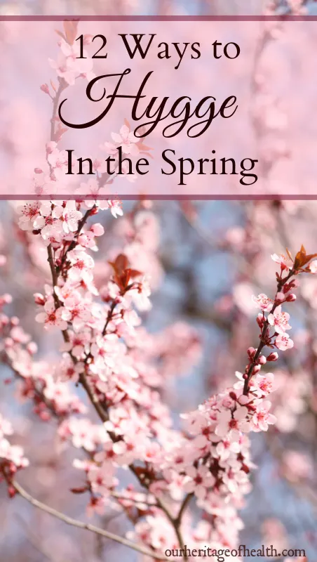 Pink blossoms on tree branches with a pale blue sky.