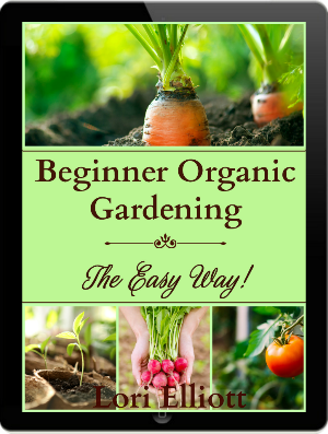 Cover of book with pictures of carrots, tomato, radishes, and seedlings.
