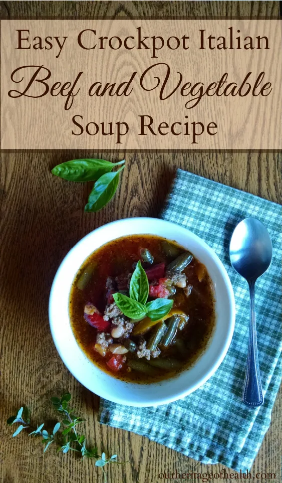Bowl of soup on a green checked towel on a table with a spoon and herbs.