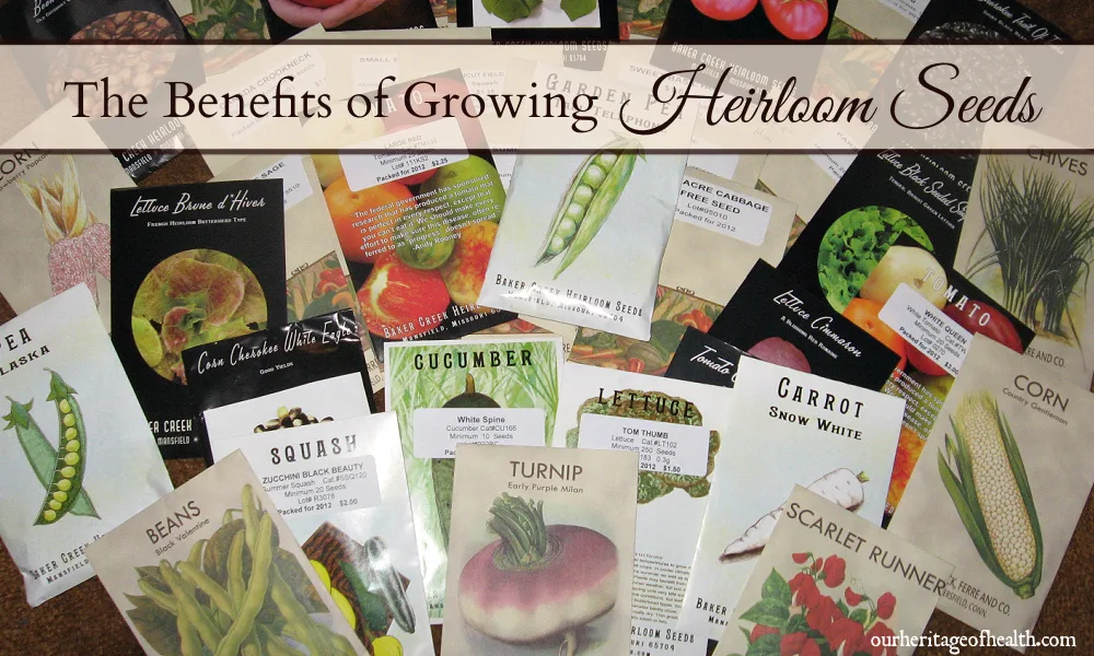 Many different seeds packets for all sorts of heirloom vegetable varieties.