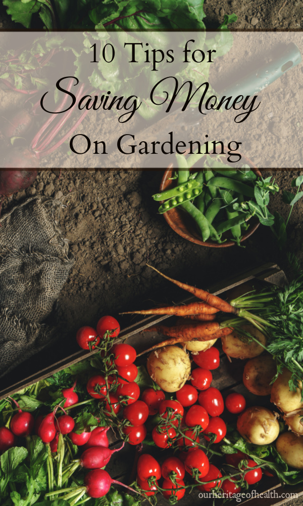 Tomatoes, peas, carrots, radishes, and beets in a box and bowl and on the ground with a spade in the dirt next to them.