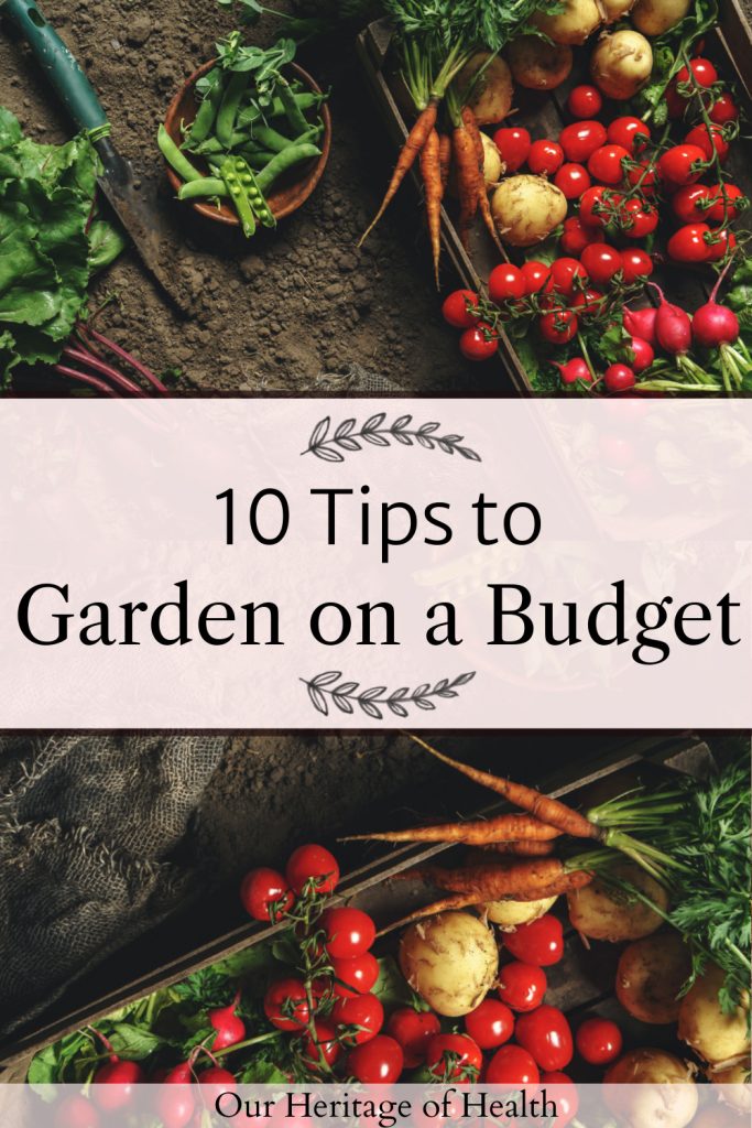 Tomatoes, peas, carrots, radishes, and beets in a box and bowl and on the ground with a spade in the dirt next to them with a text overlay that says "10 Tips to Garden on a Budget."