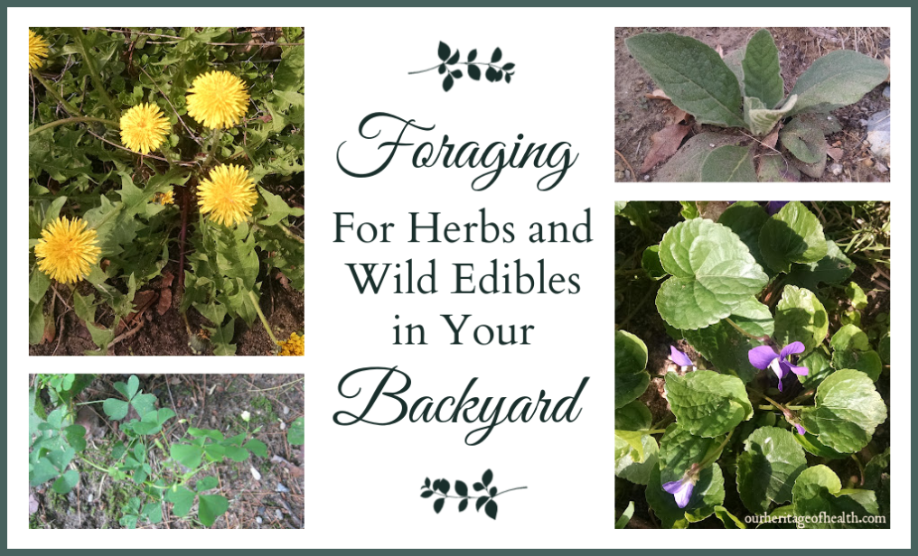 Collage of herbs including dandelions, violets, mullein, and wood sorrel.