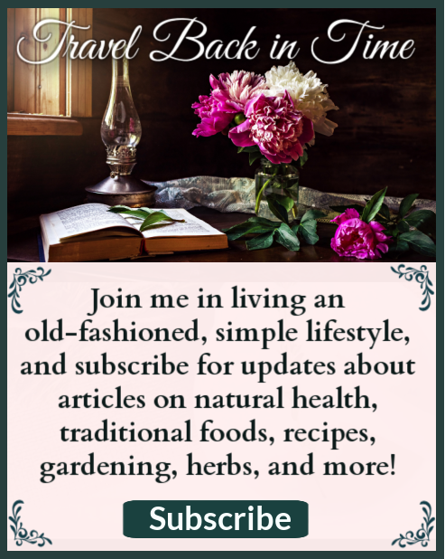 Peony flowers in a vase by a window with an oil lamp and a book open on the table with text that says "Travel back in time: Join me in living an old-fashioned simple lifestyle, and subscribe for updates about articles on natural health, traditional foods, recipes, gardening, herbs, and more!"