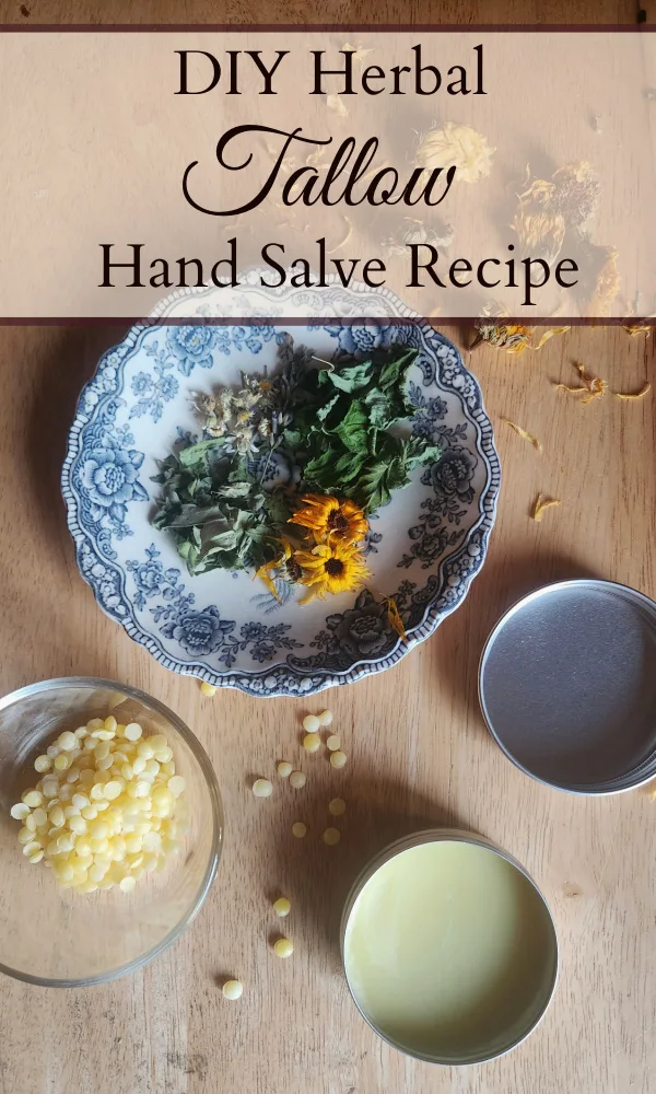 Tin of tallow hand salve on a wooden table with a blue China plate next to it with assorted herbs and a small bowl of beeswax pellets beside it with scattered herbs and beeswax pellets on the table.