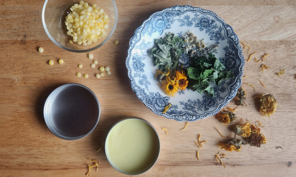 Tin of tallow hand salve on a wooden table with a blue China plate next to it with assorted herbs and a small bowl of beeswax pellets beside it with scattered herbs and beeswax pellets on the table.
