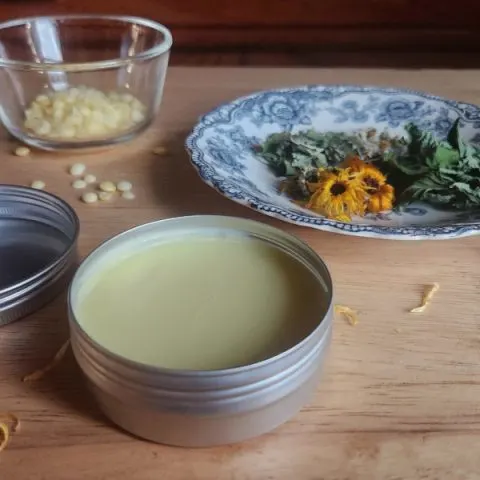 Tin of tallow hand salve on a wooden table with a blue China plate next to it with assorted herbs and a small bowl of beeswax pellets beside it with scattered herbs and beeswax pellets on the table.