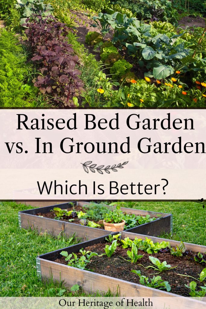 An in-ground garden plot with plants growing on the top and raised garden beds on the bottom with green plants growing in them with a text overlay in the middle that says "Raised Bed Garden vs. In Ground Garden Which Is Better?"