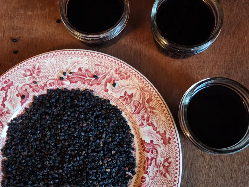 Dried elderberries on a red China plate with elderberry syrup in jars next to the plate.