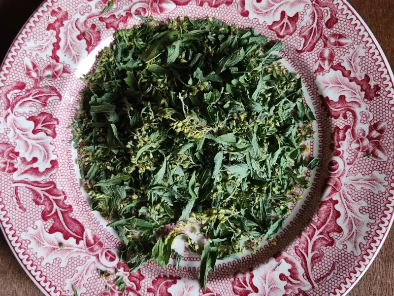 Dried goldenrod leaves on a red China plate.