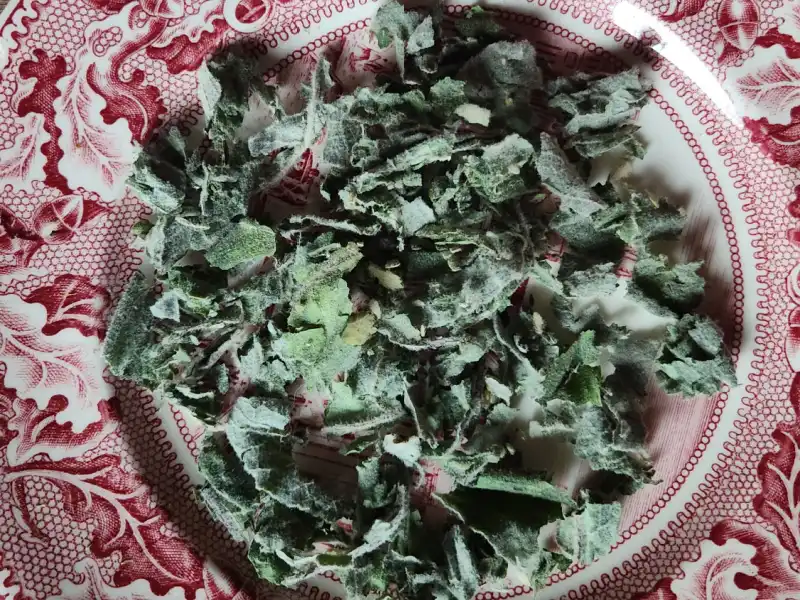 Dried mullein leaves on a red China plate.