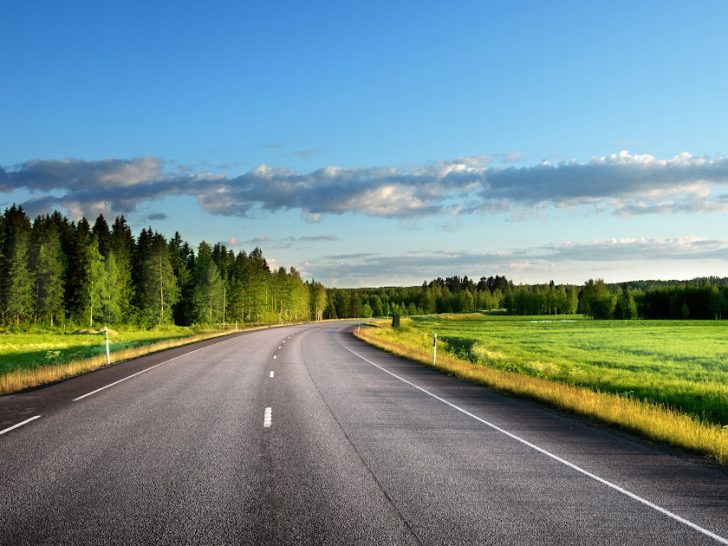 Asphalt road with trees on one side and an open field on the other and blue sky above.